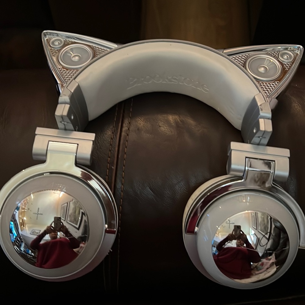 Ariana Grande cat headphones